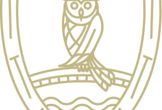 Joigny - Grand duc doré